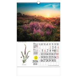 Kalendar "Ljekovito bilje"...