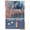 KALENDAR 12L 33X34 IGRE PRIRODE