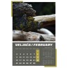 KALENDAR 12L 33X34 IGRE PRIRODE