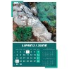KALENDAR 12L 33X34 IGRE PRIRODE
