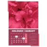 KALENDAR 12L 33X34 IGRE PRIRODE
