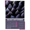 KALENDAR 12L 33X34 IGRE PRIRODE